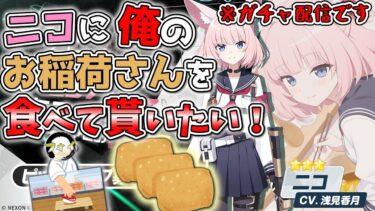 【ブルアカ】ニコに俺のお稲荷さんを食べて貰いたいガチャ配信【ガチャ配信】