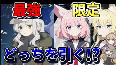 【ブルアカ初心者】終了間際！最強バッファーと限定はどっちを引くべき？キャンプハレ・ニコ・クルミガチャ解説！