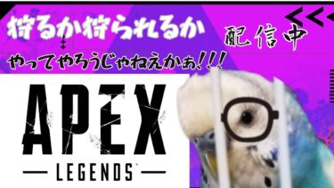 【配信】ピストルで1試合5キルできたら次回ブルアカ配信、できなかったらホラゲ配信【APEX LEGENDS】