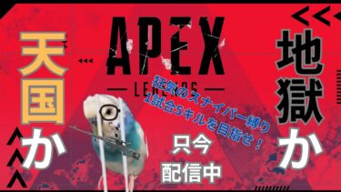 【配信】スナイパーで1試合5キルできたら次回ブルアカ配信、できなかったらホラゲ配信【APEX LEGENDS】