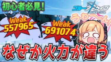 【ブルアカ基礎講座】同じ編成なのに火力が違う理由！「安定値」解説！【ブルーアーカイブ-Blue Archive-】