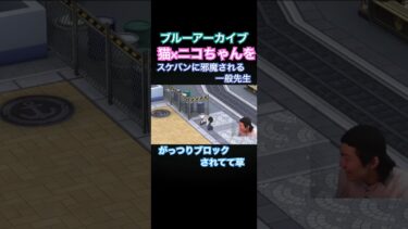 猫を撫でるニコちゃんをスケバンに邪魔される先生#ブルーアーカイブ #ブルアカ #切り抜き #ゲーム実況 #shorts #ゴンズイ