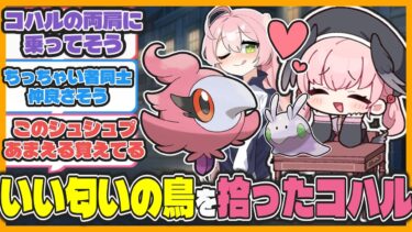 【クロス】ここだけヌメラに続きシュシュプを拾ってきたコハル【ブルアカ反応まとめ】