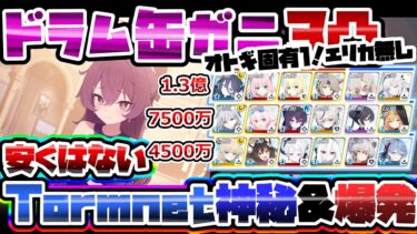 【簡易解説】エリカ無し ハルカ7500万 3凸 Torment ドラム缶ガニ 市街地 総力戦 39,339,280【ブルアカ】