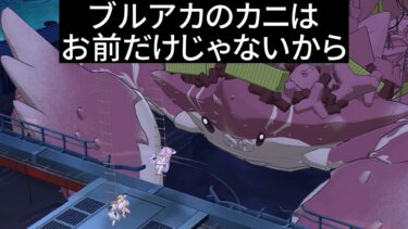 ブルアカカニ界の新生児、ドラム缶ガニ君攻略【ブルアカ】