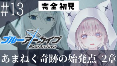 【完全初見】～最終編～2章【ブルーアーカイブ#13】