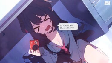 何をするかわからないブルアカ配信