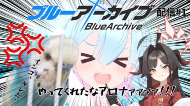 久しぶりのブルアカ配信、ちょい待ってぇ、水着の季節やで【ブルーアーカイブ】