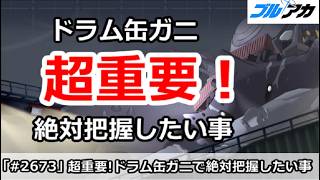 【ブルアカ】超重要！総力戦ドラム缶ガニで絶対把握したい事まとめ (EX検証)【ブルーアーカイブ】