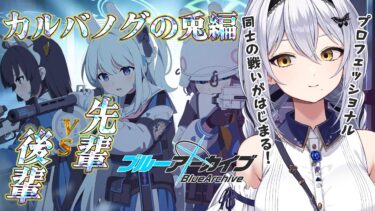【ブルアカ】RABBIT小隊 VS FOX小隊！カルバノグの兎編 2章の続き！ 第31回 -セカイ逢花-