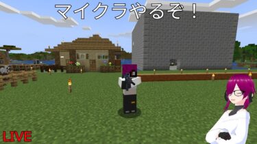 ［初見歓迎］バ美肉毎日配信　今日はブルアカの同時視聴とマイクラ!