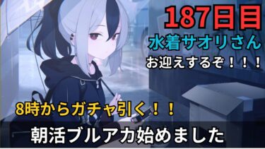 【ブルアカ】8時から！水着サオリさんを絶対にお迎えするニンジャ！！！！合同火力もありますか？