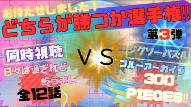 【同時視聴 】＃日々飯し VS【パズル配信】ブルアカ300ピースどちらが勝つか選手権！【 第３弾】！#Vtuberつくばのジョー ＃初見さん大歓迎！#Low-key reaction Vtuber