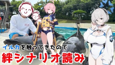 【ブルアカ】ダイビング部と交流を深める配信【絆シナリオ読み】