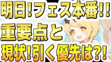【ブルアカ】【ブルーアーカイブ】明日！フェス本番！！重要ポイントと現状引くＰＵガチャの優先は？！5.5周年！【解説】