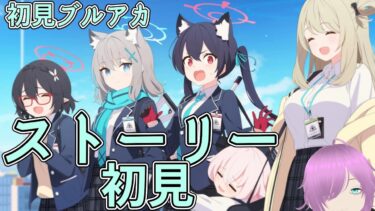 気力が持つまで世界観を味わう配信　【ブルアカ】