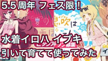 【ブルアカ】5.5周年 フェス限！新規実装生徒 水着イロハ & 水着イブキ 引いて育てて使ってみた 性能速報 おまけガチャ【ブルーアーカイブ】