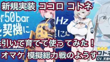 【ブルアカ】新規実装生徒 ココロ コトネ 引いて育てて使ってみた 性能速報 おまけガチャ【ブルーアーカイブ】