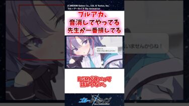 ブルアカ、音消してやってる先生が一番損してる