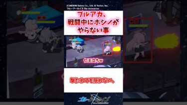ブルアカ、戦闘中にホシノがやらない事