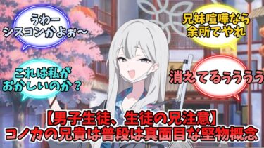 【男子生徒、兄注意】コノカの兄貴は普段は真面目な堅物概念【ブルーアーカイブ】【ブルーアーカイブ反応集】