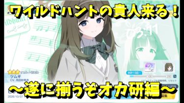 【弦よ、軋め！ 紡がれるは冥界の旋律！】　～ブルアカ生徒募集配信～　ツムギ編